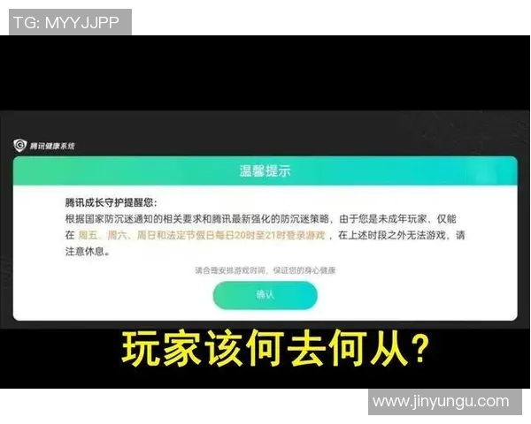 未成年人防沉迷新规实施王者荣耀如何应对新挑战与变化